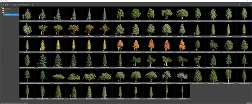 Globe Plants - Bundle 52 скачать