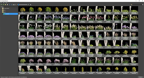 Globe Plants - Bundle 53 скачать
