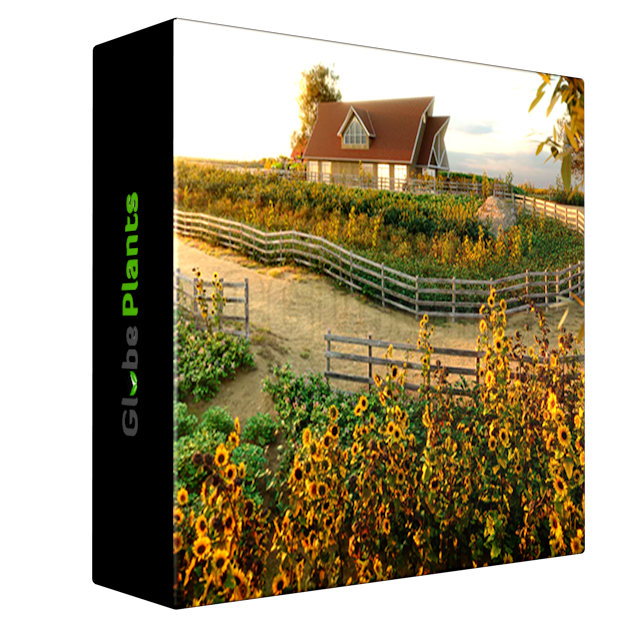 Globe Plants - Bundle 54