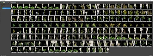 Globe Plants - Bundle 54 скачать