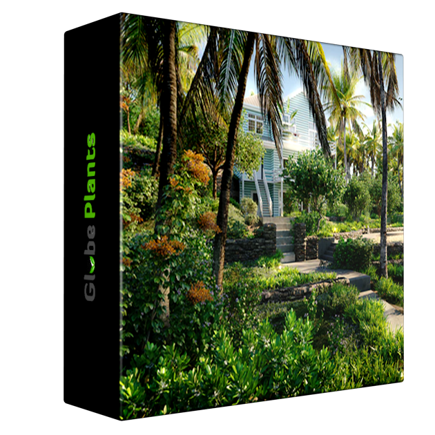 Globe Plants - Bundle 56