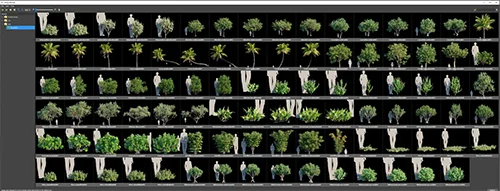 Globe Plants - Bundle 56 скачать