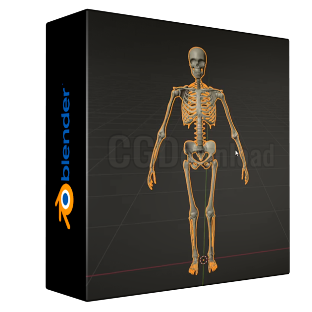 Rig a Skeleton with Blender and Rigify