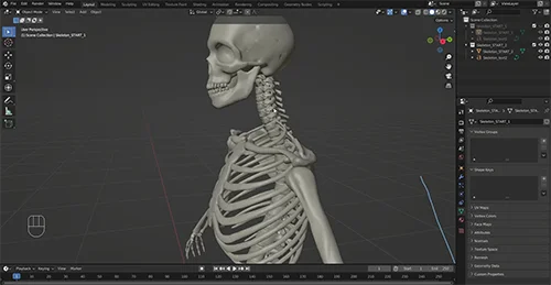 Rig a Skeleton with Blender and Rigify скачать
