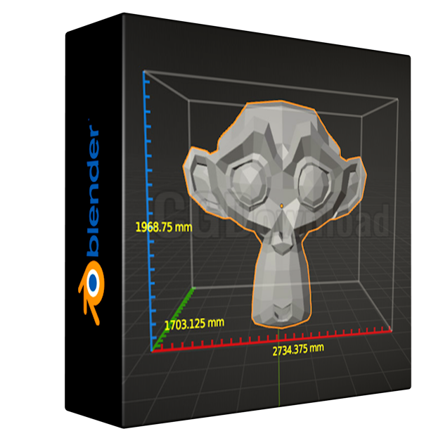 Dimensions Ruler