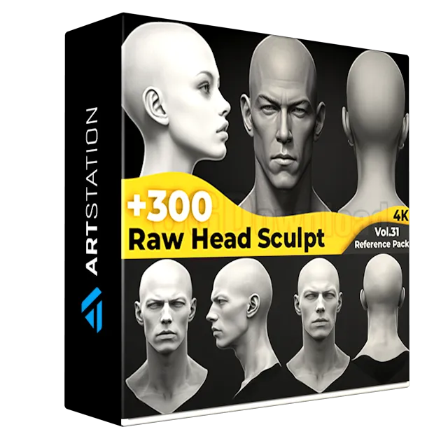 +300 Raw Head Sculpt Reference Images(4k)