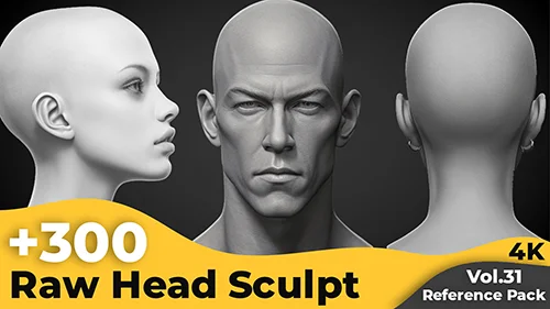 +300 Raw Head Sculpt Reference Images(4k) скачать