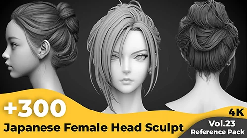 +300 Japanese Female Head Sculpt Reference Images(4k) скачать