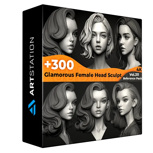 +300 Glamorous Female Head Sculpt Reference Images(4k)
