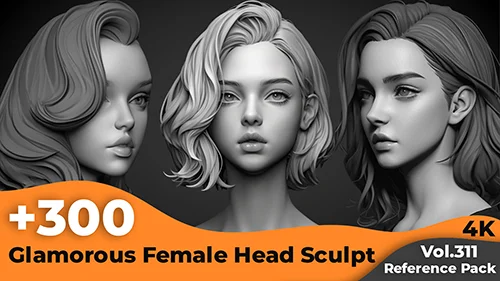 +300 Glamorous Female Head Sculpt Reference Images(4k) скачать