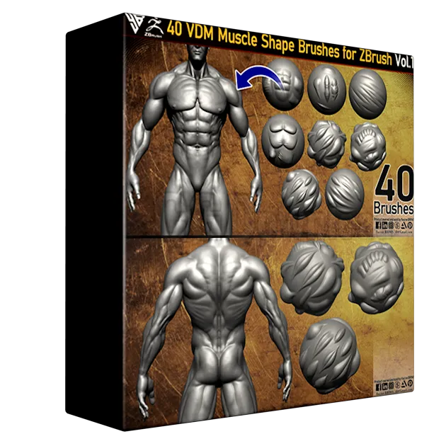 40 VDM Muscle Shape Brushes for ZBrush Vol 01