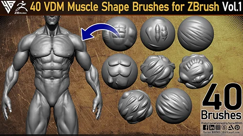 40 VDM Muscle Shape Brushes for ZBrush Vol 01 скачать
