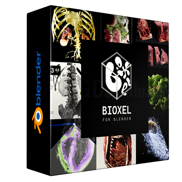 Bioxel Nodes