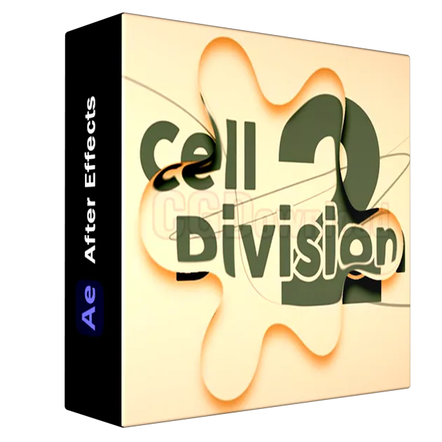 Cell Division