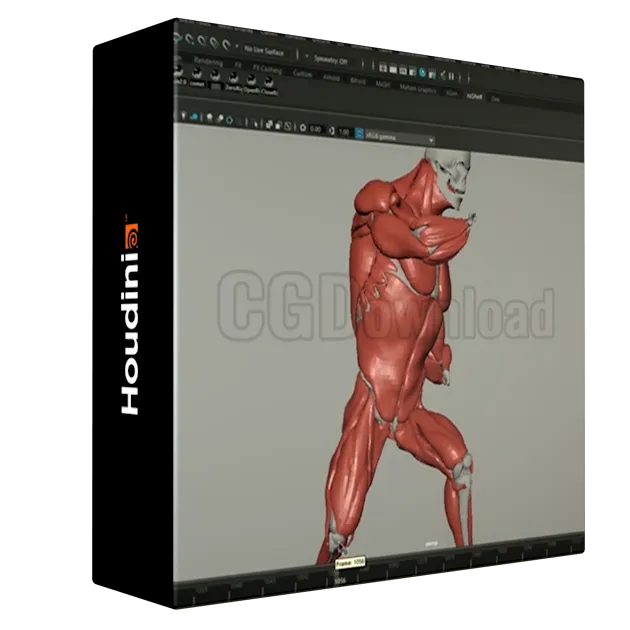 Mastering Houdini Muscles: A Studio-Level VFX Workflow