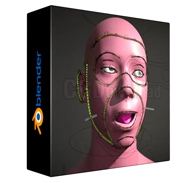 Rigify Modular Face Rigging