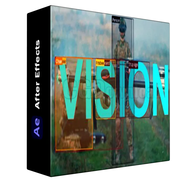 Vision