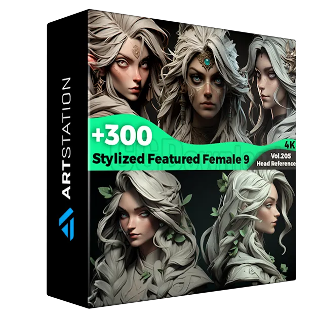 +300 Stylized Featured Female 9 Head Sculpt Reference Images(4k)