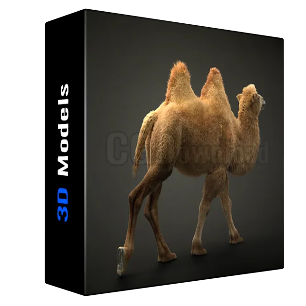 VFX Grace - Bactrian Camel Animated
