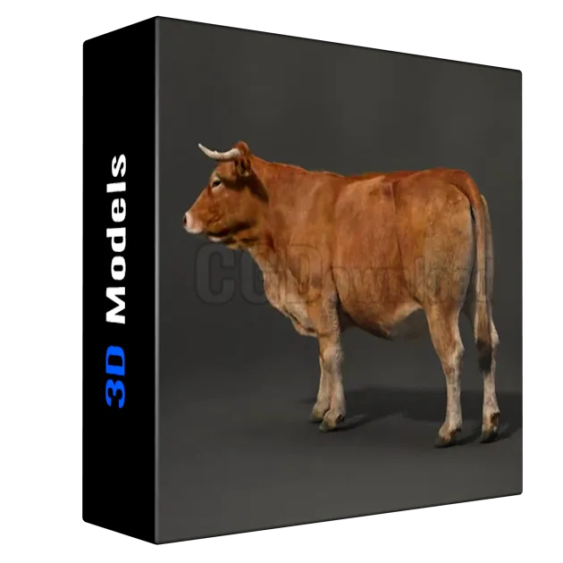 Vfx Grace - Cattle Cow