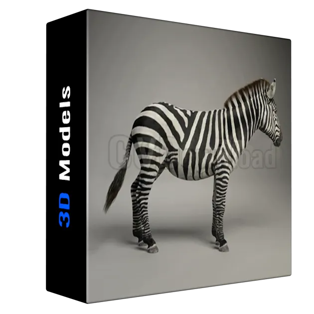 Vfx Grace - Zebra Animation