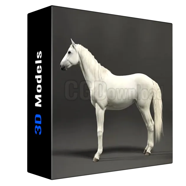 Vfx Grace - White Horse Animation