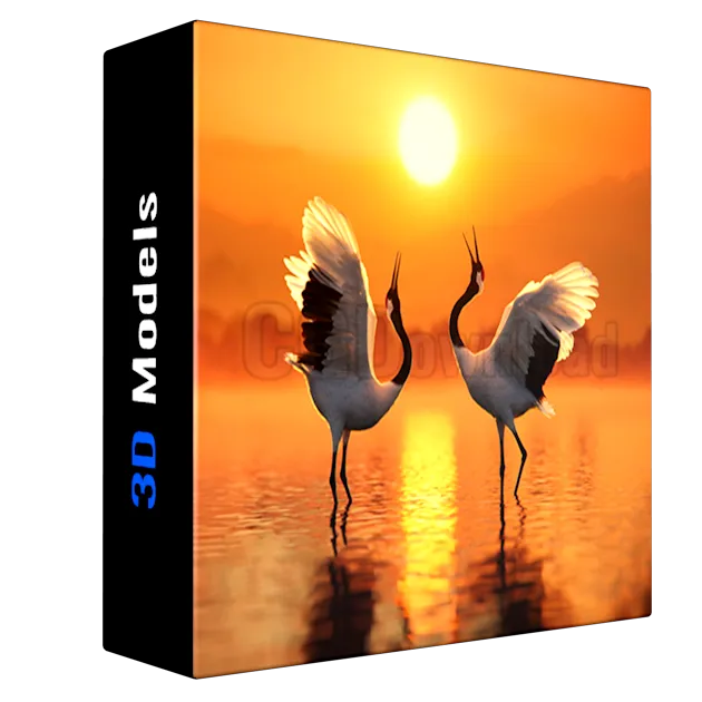 Vfx Grace - Red-Crowned Crane Animation