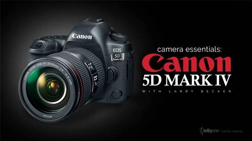 Canon 5D Mark IV Camera Essentials скачать