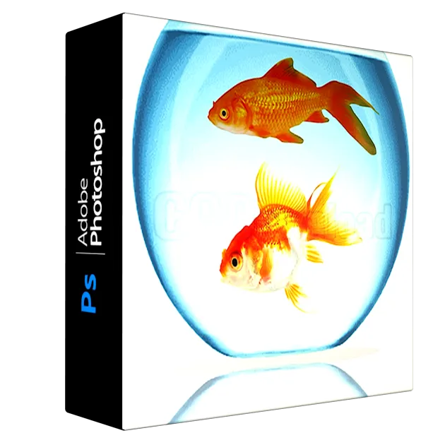 Photoshop Basic Course