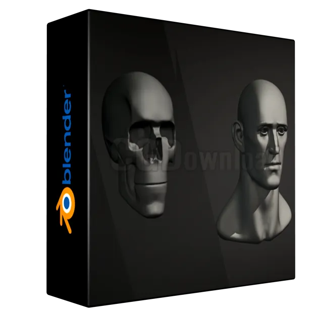 Ultimate Beginner 3D Sculpting Course