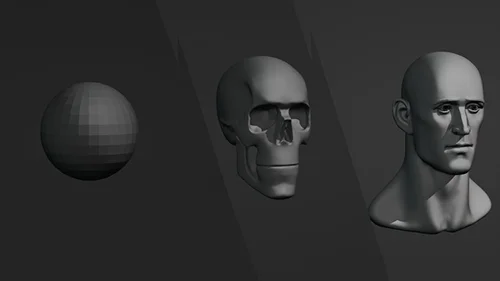Ultimate Beginner 3D Sculpting Course скачать
