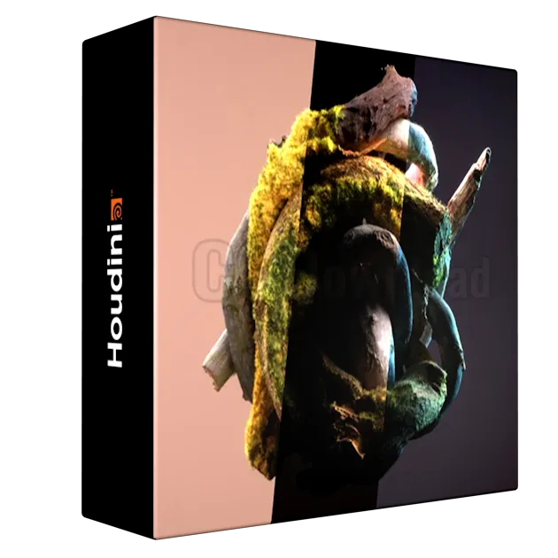 Entagma – Rendering 101