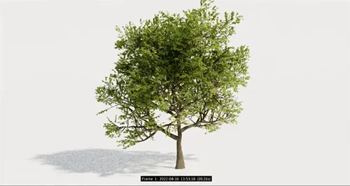 HS-225 Procedural Growth with KineFX and the Labs Tree Tools скачать
