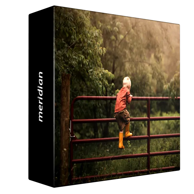 Meridian – MEG LOEKS – CREATIVE FOG PRESETS