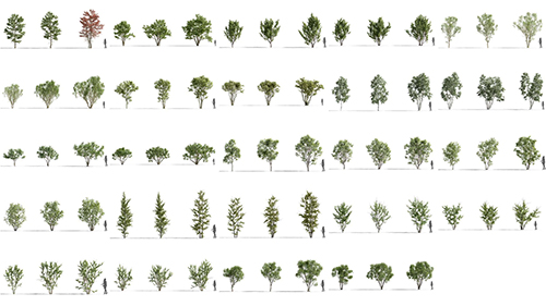 Maxtree - Plant Models Vol 74 скачать