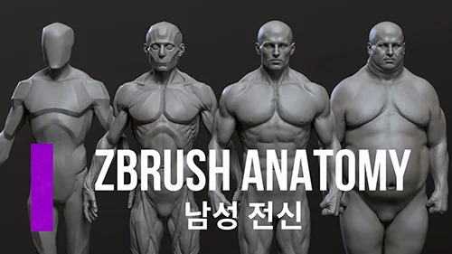 CGBump – Zbrush Intermediate Anatomy Male and Female скачать