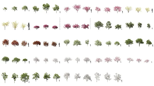 Maxtree – Plant Models Vol 31 скачать