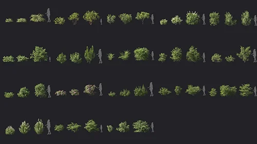 Maxtree - Plant Models Vol 6 скачать