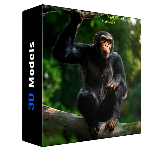 [VFX Grace] Chimpanzee Animated