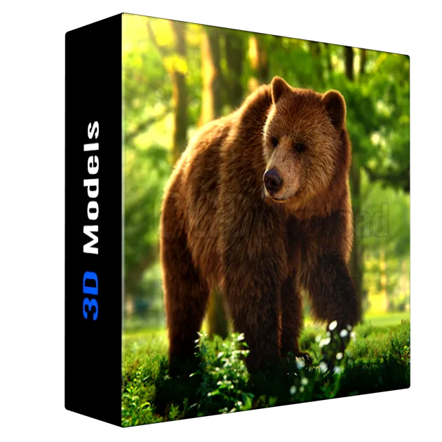 [VFX Grace] Female Brown Bear