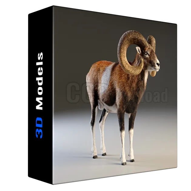 [VFX Grace] European Mouflon Male Animated