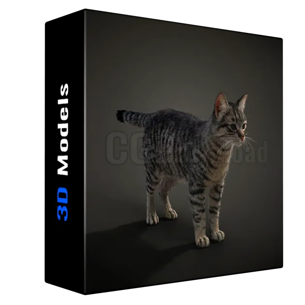 [VFX Grace] 3D Cat Model