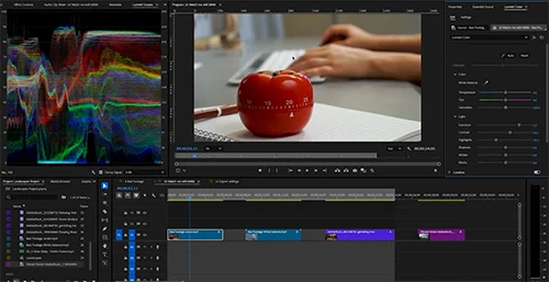 Premiere Pro Essentials A No-Fluff Beginner Course скачать