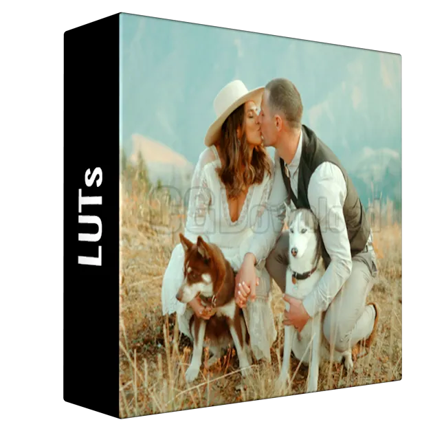 G-Presets – Campfire LUTs
