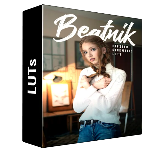 Beatnik Hipster Cinematic 3D LUTs