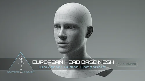 Universal Human European Head Base Mesh скачать
