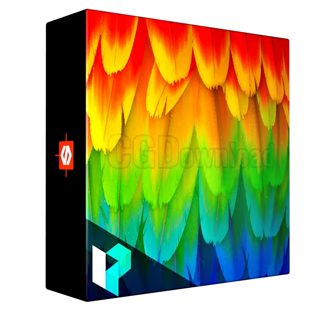 Levelup Digital - Feather Creation | Romain