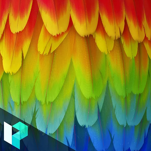 Levelup Digital - Feather Creation Romain скачать