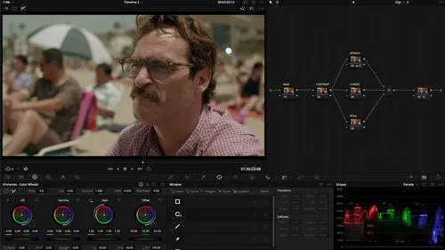 Plasma Film - Professional Colorist Masterclass скачать