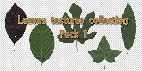 Leaves Textures Collection Pack 1 скачать
